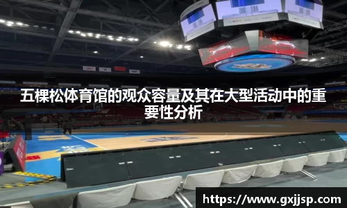 五棵松体育馆的观众容量及其在大型活动中的重要性分析
